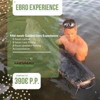 Ebro experience